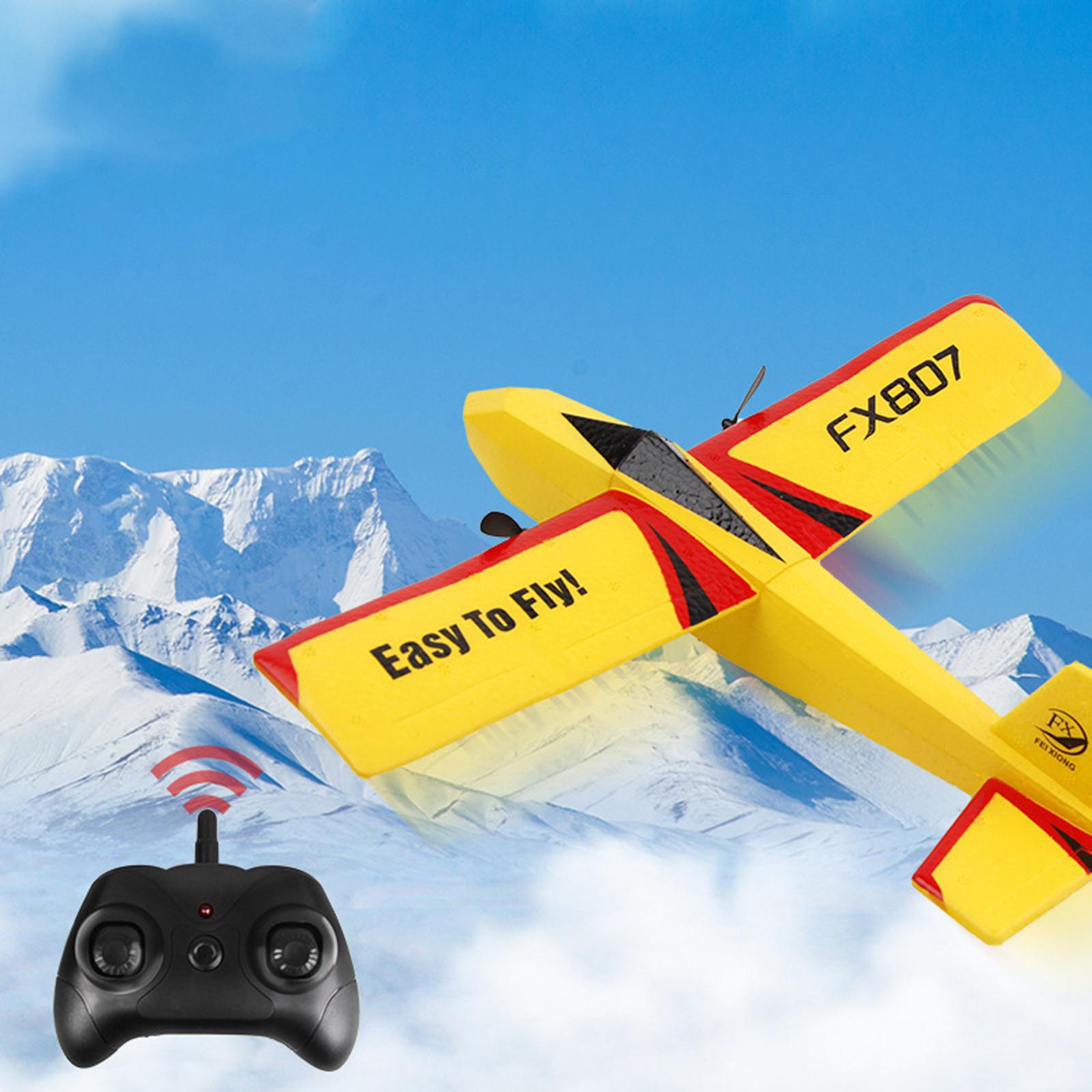2.4G 2CH RC Aircraft Dual Core - Rc Glider Foam Wing review and price